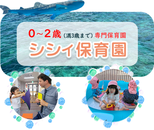 シシィ保育園