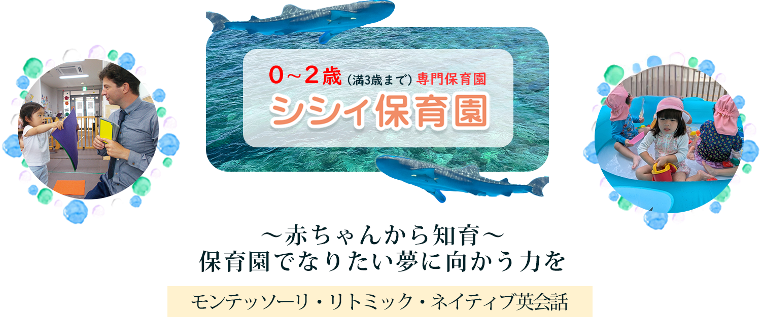 シシィ保育園